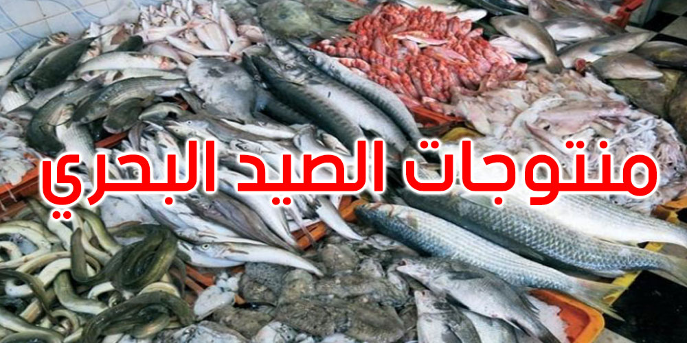 تسجيل فائض في الميزان التجاري لمنتوجات الصيد البحري بقيمة 103,6 مليون دينار