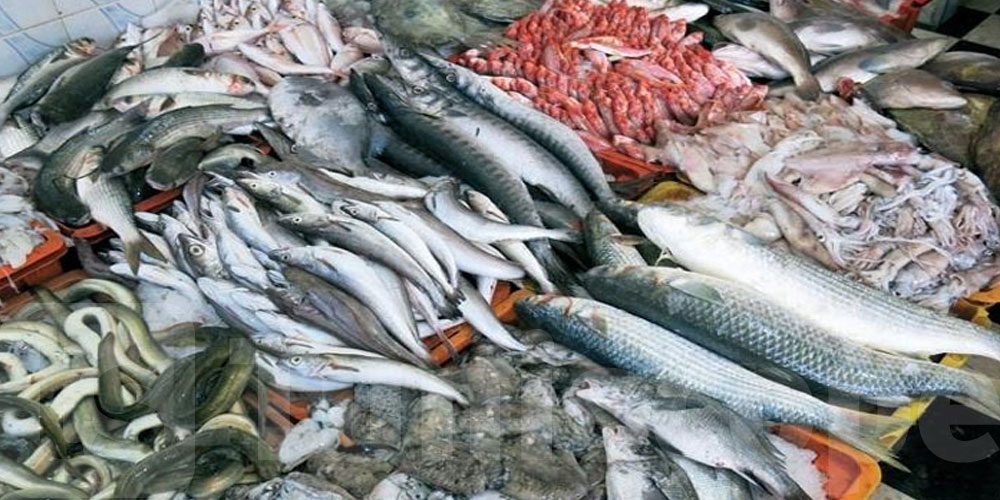  خلال 2023: تراجع فائض الميزان التجاري من منتجات الصيد البحري بـ17.9 %