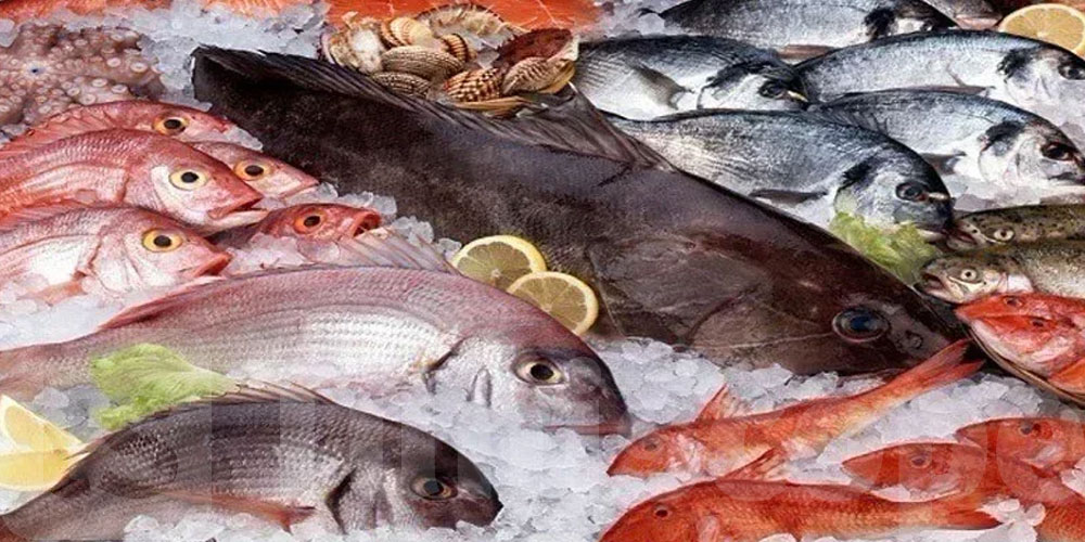 Pêche : un excédent commercial de 92,6 MD à fin juillet