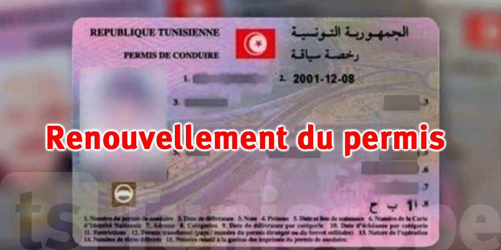 Évitez les amendes : quand et comment renouveler votre permis B?