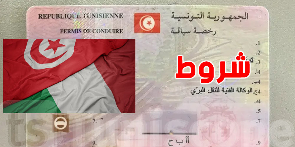 عاجل للجالية التونسية في إيطاليا: هذه شروط استبدال رخصة السياقة!