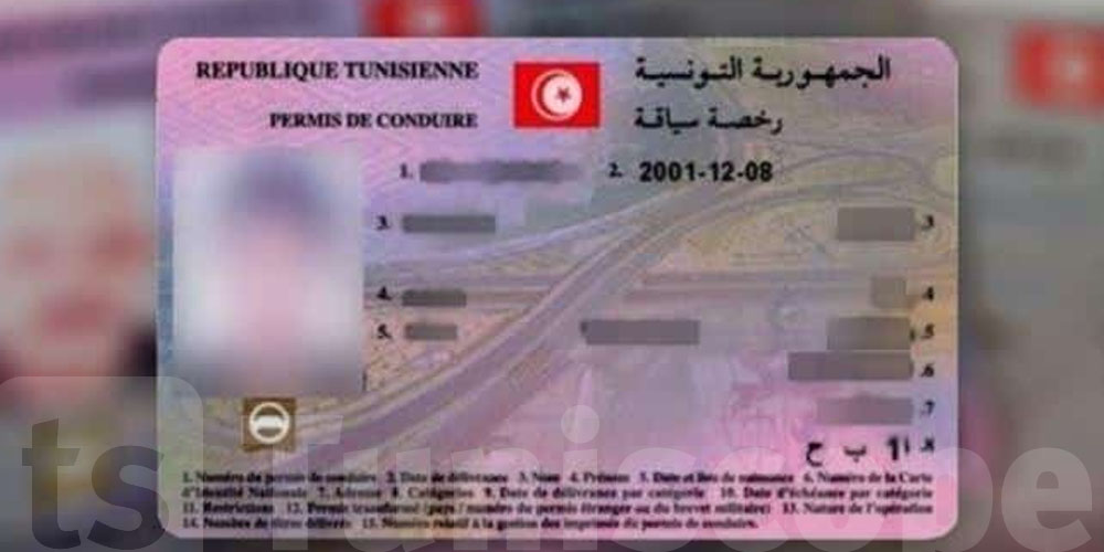 Permis en Tunisie : ce qu’il faut savoir sur les vrais prix
