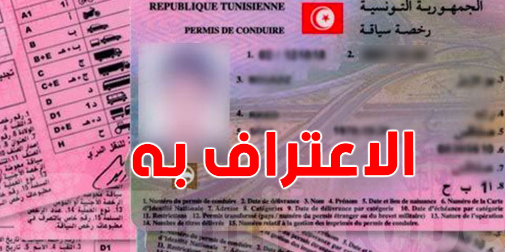 عاجل: المصادقة على اتفاق تونس وهذه الدولة للاعتراف المتبادل برخص السياقة