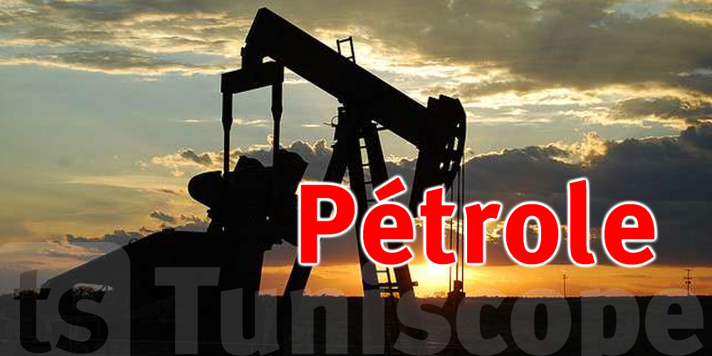 Tunisie : vers le forage de 10 nouveaux puits de pétrole à El Borma