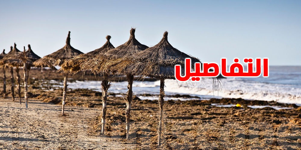 الشواطئ الرملية في تونس: لماذا التيارات الساحبة أكثر نشاطًا هناك؟