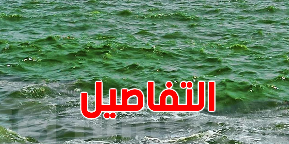 28 نقطة بحرية غير صالحة للسباحة: وزارة الصحة تكشف وتحذر
