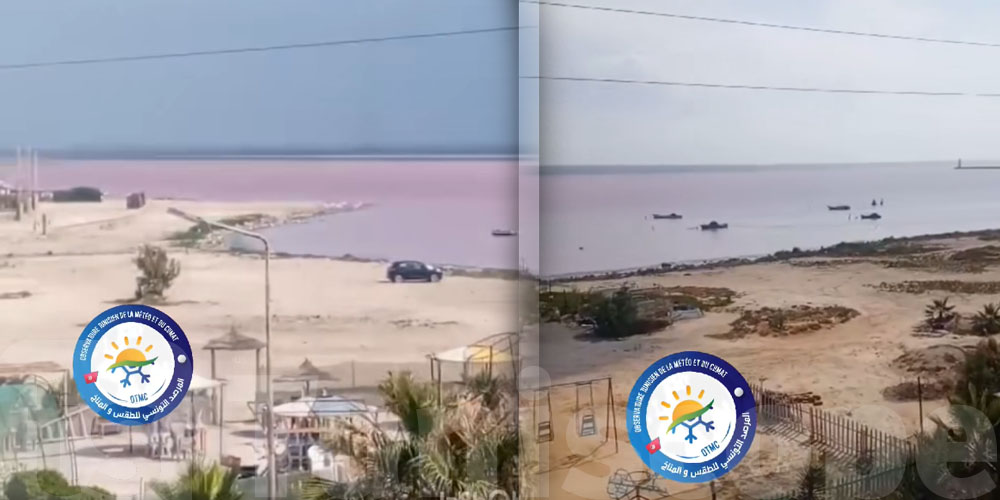 بالفيديو: كارثة بيئية في قلب المنستير...البحر يغيّر لونه