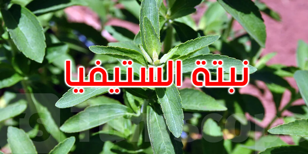  دراسة: بديل طبيعي للسكر قد يكون سلاحا ضد السرطان... ما هو؟
