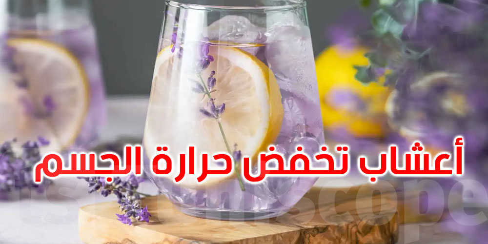 لمواجهة الطقس الحار.. هذه الأعشاب تخفض حرارة الجسم