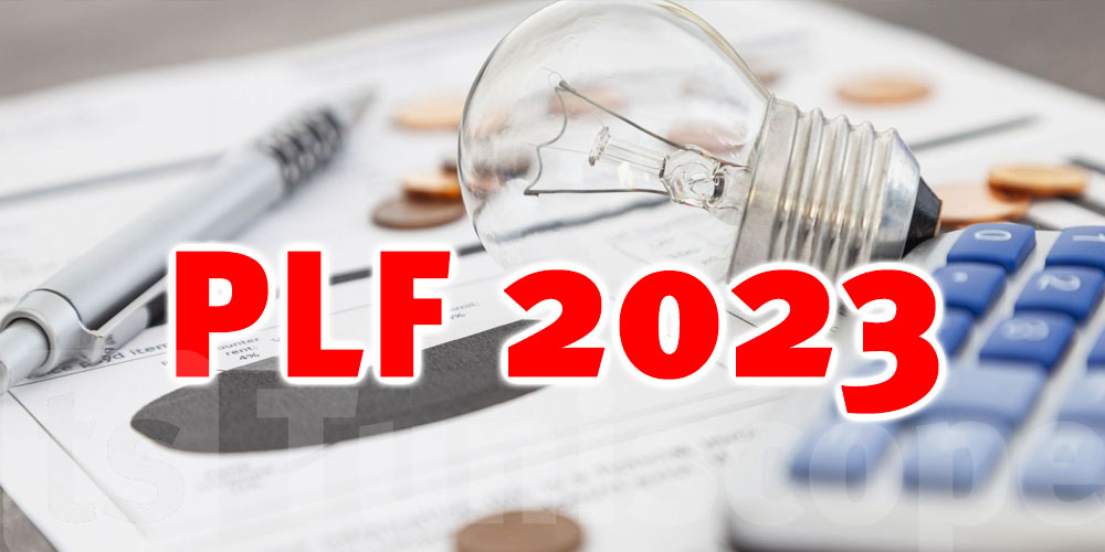 PLF 2023 : Vers une classification des contribuables en 4 catégories ?