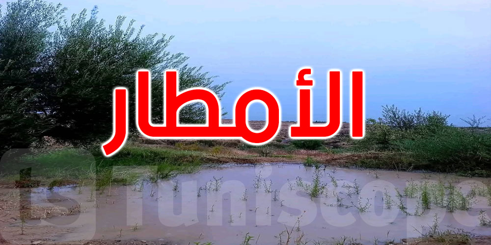 عاجل: أعلى كميات الأمطار المسجلة كانت بنصر الله بالقيروان