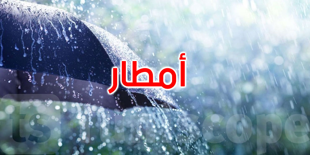   الطقس غدًا: تقلبات في هذه الولايات وأمطار رعدية في الأفق