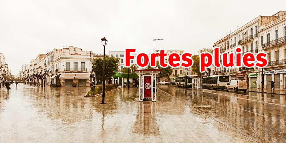 Jusqu’à 50 mm de pluie, des vents forts et de la grêle : voici les zones concernées
