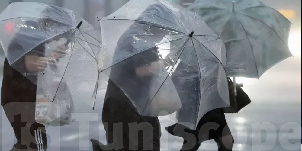 عاجل - تونس: تساقطات ثلجية  في الليلة الفاصلة بين الاحد و الاثنين