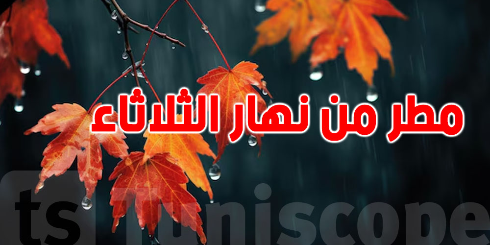 يا توانسة: أمطار جاية من الثلاثاء والحرارة تهبط شويّة