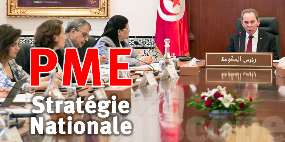 Détails de la Stratégie Nationale pour la Promotion des PME en Tunisie