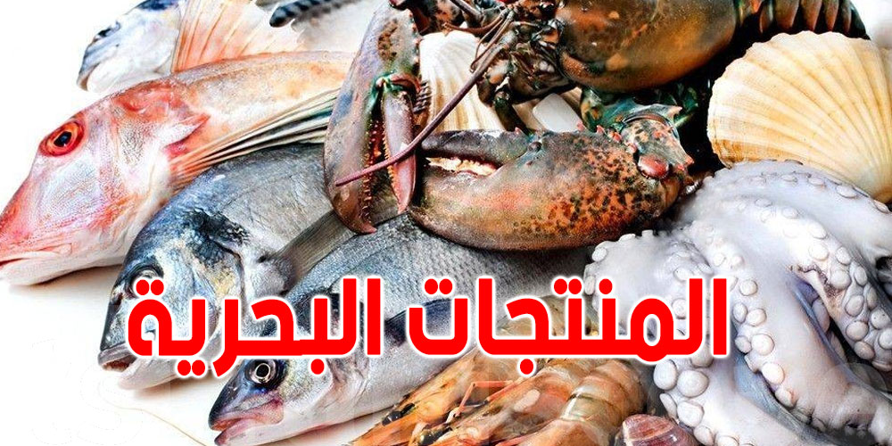 صادرات منتوجات الصيد البحري والأحياء المائية تتراجع