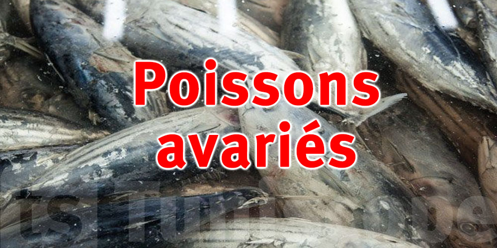 Tunis : Saisie de poissons avariés colorés destinés à tromper les consommateurs