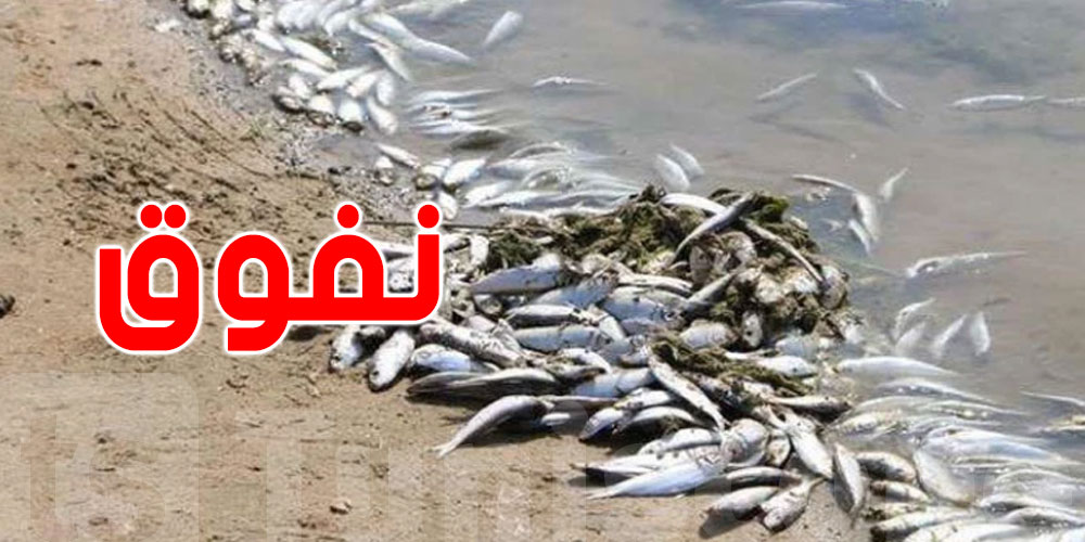 شوف كيفاش الفيضانات تأثر على الحوت والحياة البحرية