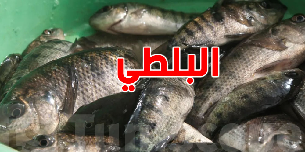  بتر أطراف أمريكية بعد تناول سمك غير مطهو… شنوّة الحكاية؟