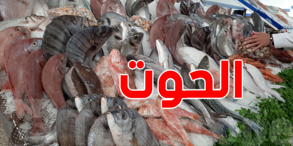 علاش السمك ينجم يكون أحسن اختيار في شقان الفطر رمضان؟