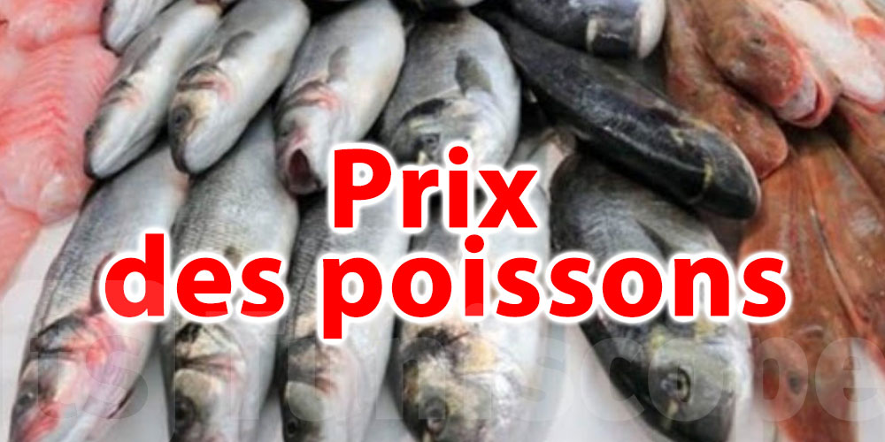 Les prix du poisson en forte augmentation en Tunisie