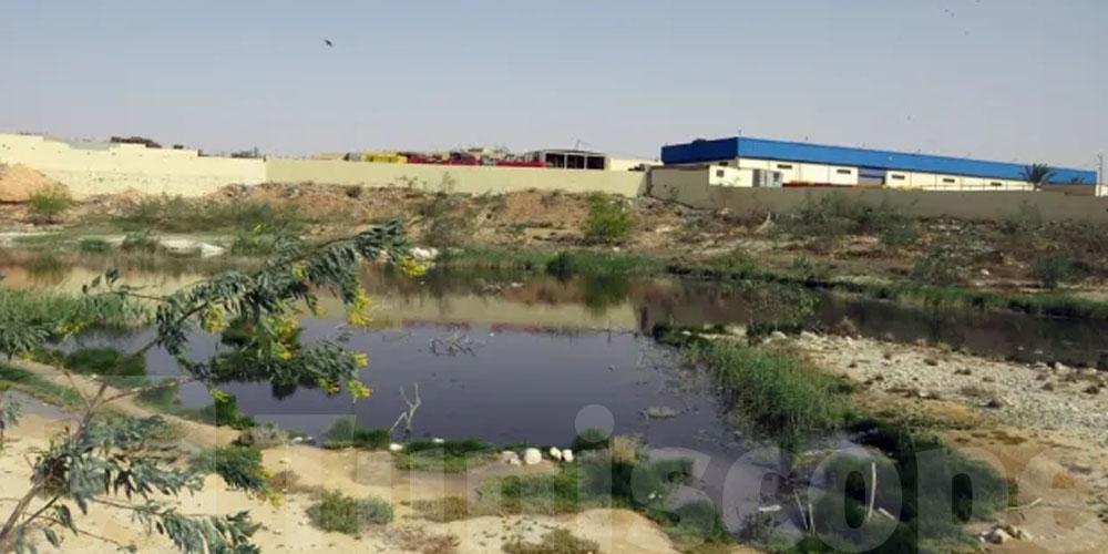 قرار عاجل في نابل: غلق واد ملوّث تصبّ فيه أكثر من 10 مصانع