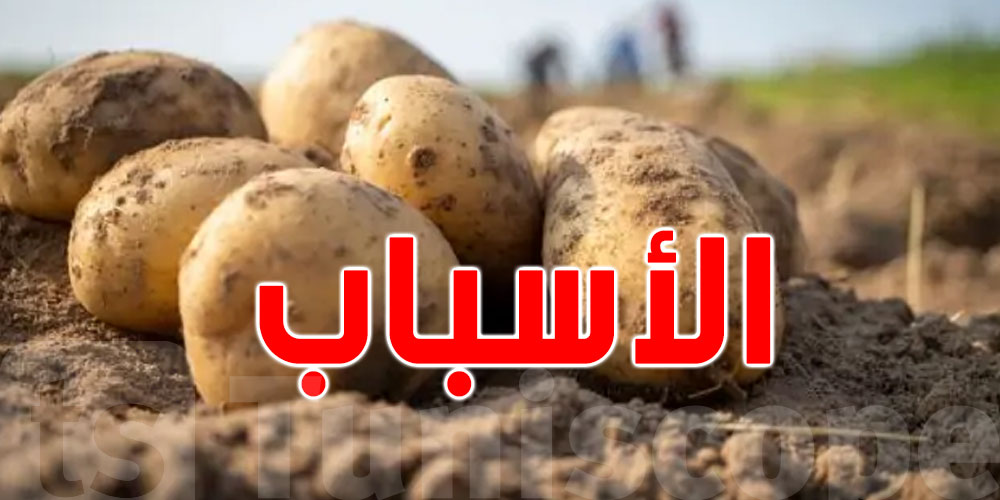 فلّاح: هذه أسباب نقص ''البطاطا'' وإرتفاع أسعارها