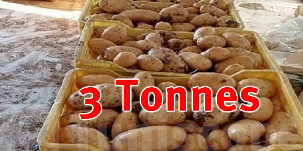 Saisie de 3 tonnes de pommes de terre à Nabeul