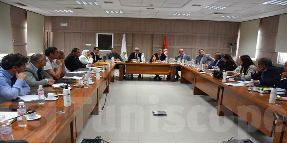 نحو إمضاء اتفاقية إطارية بين وزارة الشؤون الاجتماعية والبريد التونسي: التفاصيل