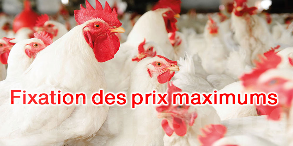 Fixation des prix maximums à la production pour la vente de poulet vivant