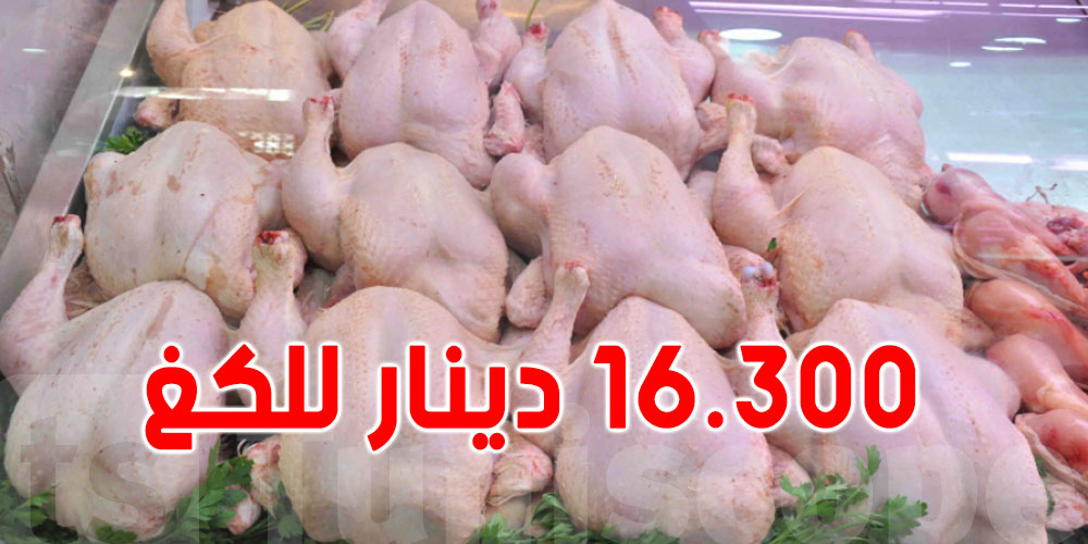 تونس: هذه أسباب نقص انتاج اللحوم البيضاء وارتفاع أسعارها تونس: هذه أسباب نقص انتاج اللحوم البيضاء وارتفاع أسعارها
