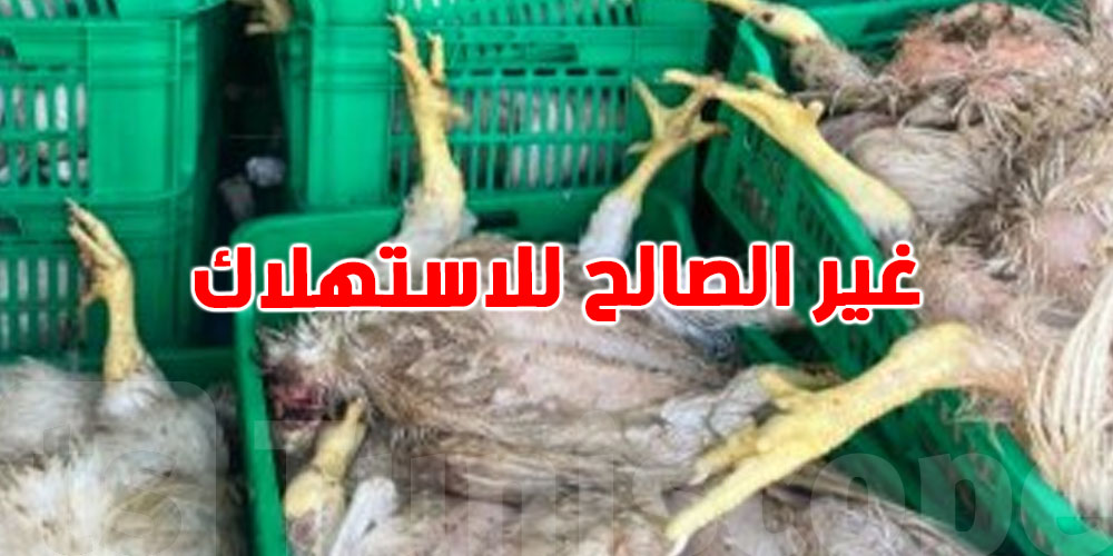 سوسة: حجز أكثر من 900 كغ من الدجاج غير الصالح للاستهلاك في مسلخ عشوائي