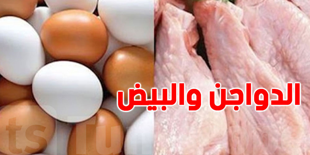 تونس: فائض في لحوم الدجاج والبيض