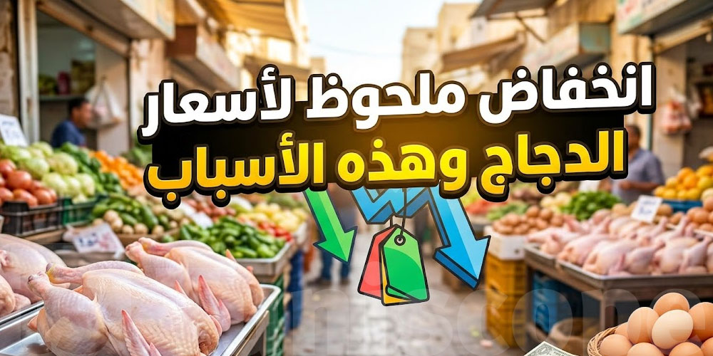 يا توانسة: هاو علاش سوم الدجاج في انخفاض