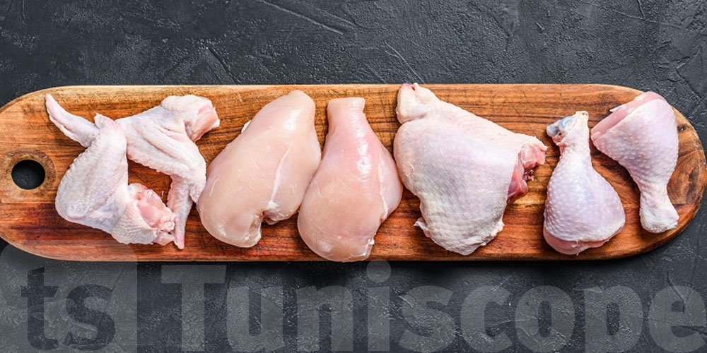 Poulets en Tunisie : la vérité sur les hormones et la croissance rapide