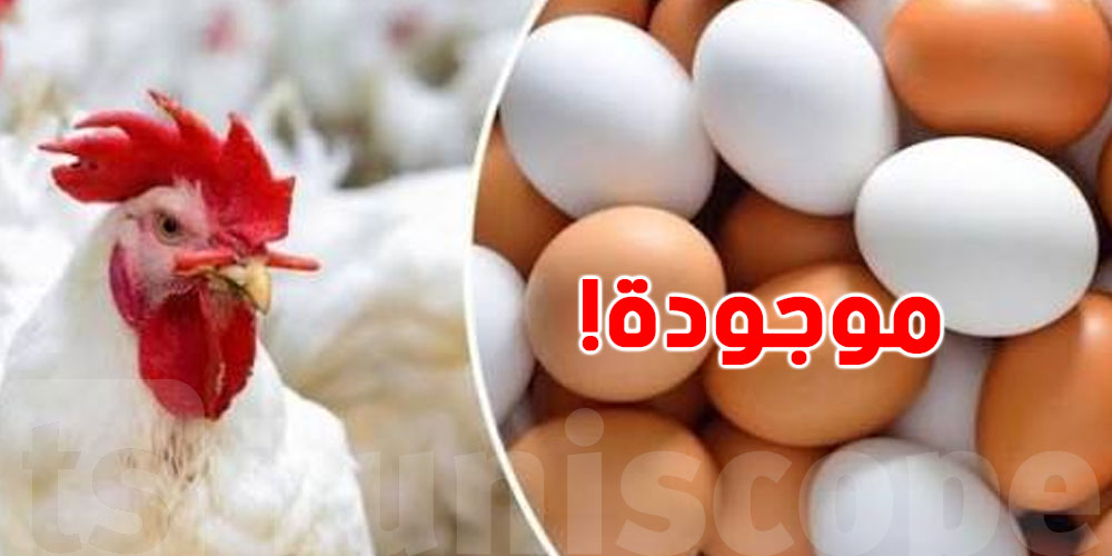 الدجاج والسكالوب والبيض.. تطمينات جديدة للتوانسة