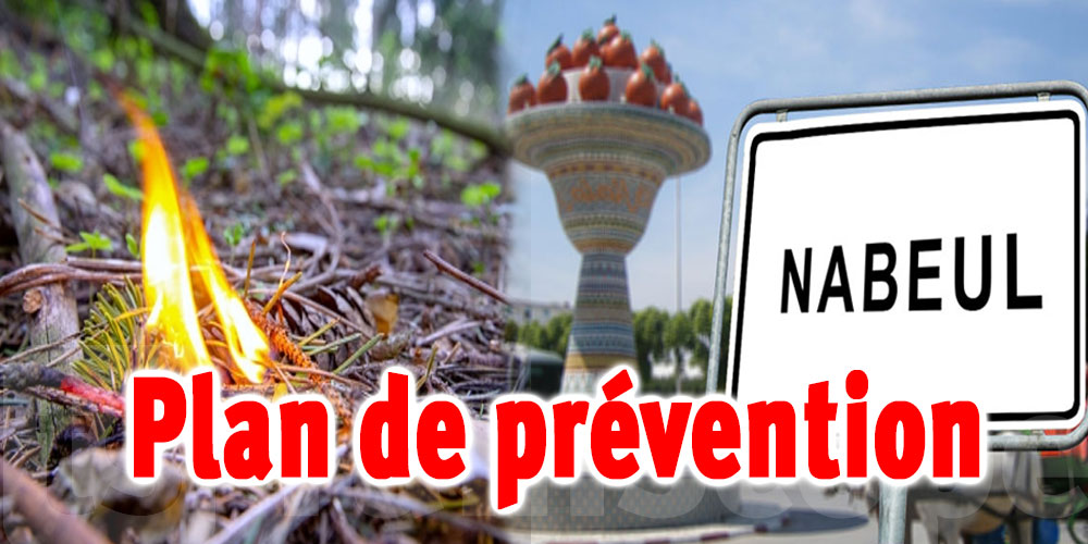 Nabeul : Préparation du plan de prévention contre les feux de forêt