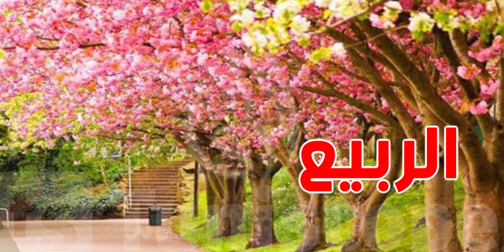 أطعمة يحسنولك مزاجك في فصل الربيع