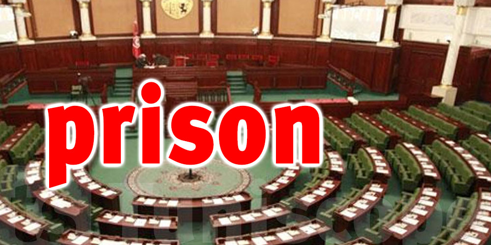 Tunisie-officiel : 8 mois de prison contre une députée 