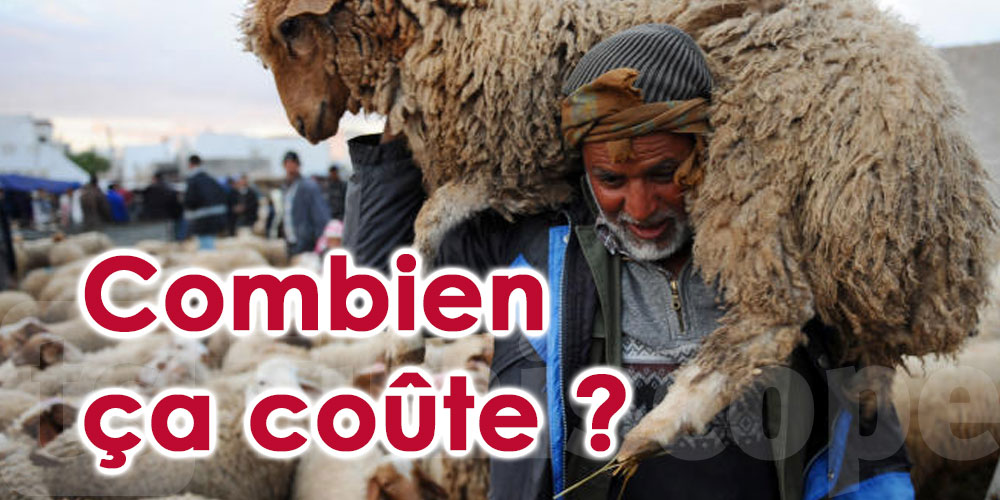 Aïd el-Idha: combien coûte un mouton ?