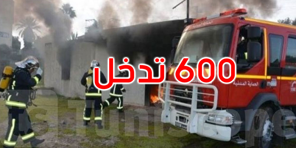   في يوم واحد: 600 تدخل للحماية المدنية لإنقاذ الأرواح