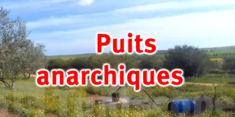 Plus de 30 000 puits anarchiques menacent la nappe phréatique