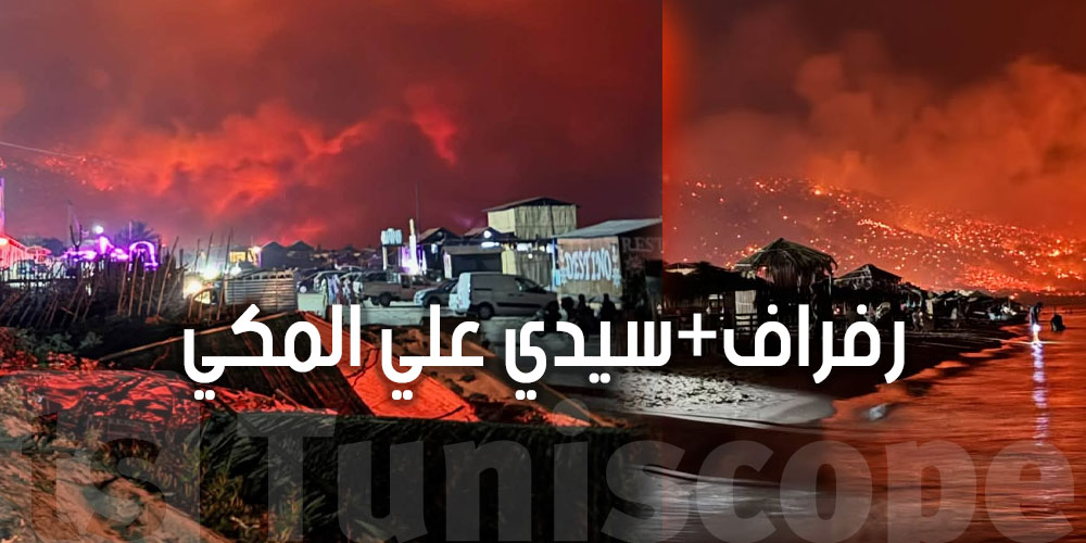 عاجل: شنّوة سبب اندلاع الحريق بالمحيط الغابي الرابط بين رفراف وسيدي علي المكي بغار الملح ؟