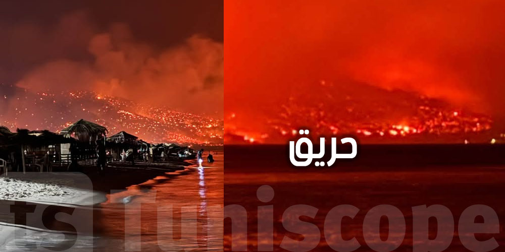 عاجل: هل تم السيطرة على حريق جبل الناظور الرابط بين منطقتي رفراف وغار الملح