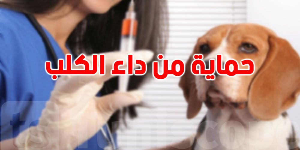 إجراءات الوقاية للحماية من داء الكلب