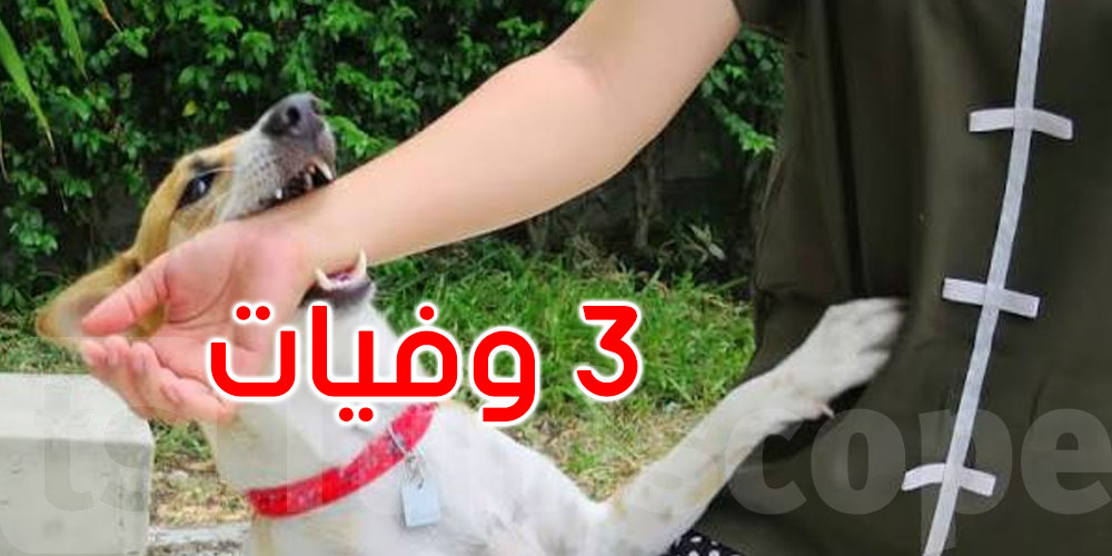 في الأشهر التسعة الأولى من 2026: تسجيل 3 وفيات لدى الإنسان بداء الكلب