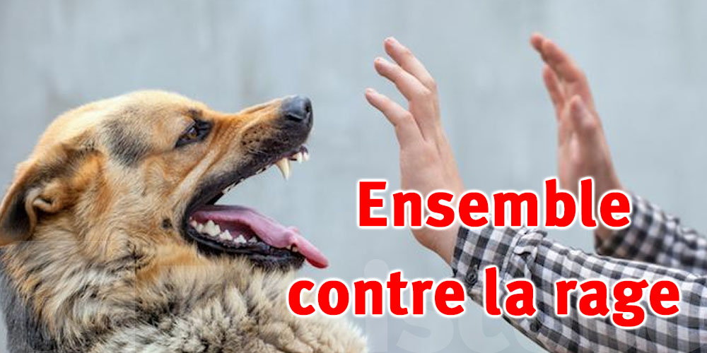 Gabès : 4 000 chiens et chats vaccinés contre la rage 
