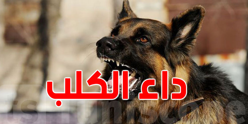 خلال 3 سنوات و4 أشهر: داء الكلب يودي بحياة 20 تونسيّا