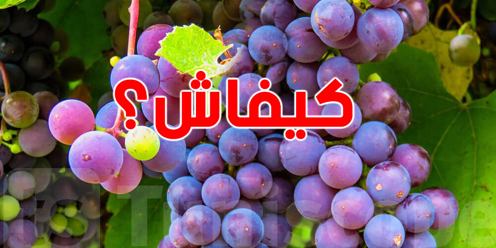 كيفاش العنب ينجم يضرّك وانت في بالك مفيد أكهو؟